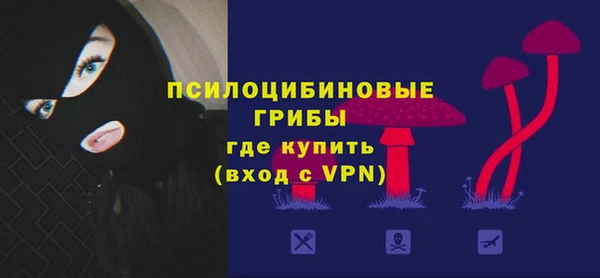 первитин Богородицк