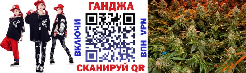 Бошки марихуана Amnesia  где купить   Болотное 